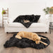 A Golden Retriever is lying on the floor while a French Bulldog rests on a couch, both enjoying the Paw PupProtector™ Waterproof Throw Blanket - Midnight Black