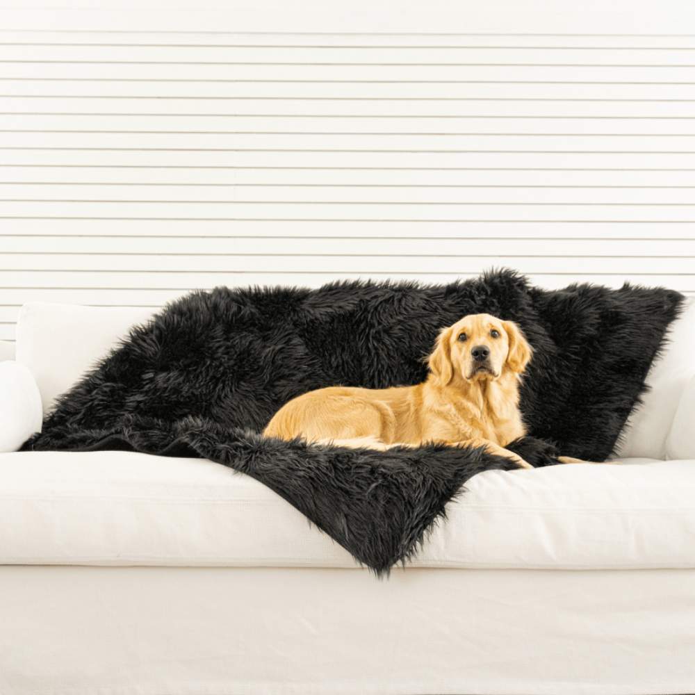 A Golden Retriever is resting on a white couch draped with a Paw PupProtector™ Waterproof Throw Blanket - Midnight Black Waterproof Dog Blankets