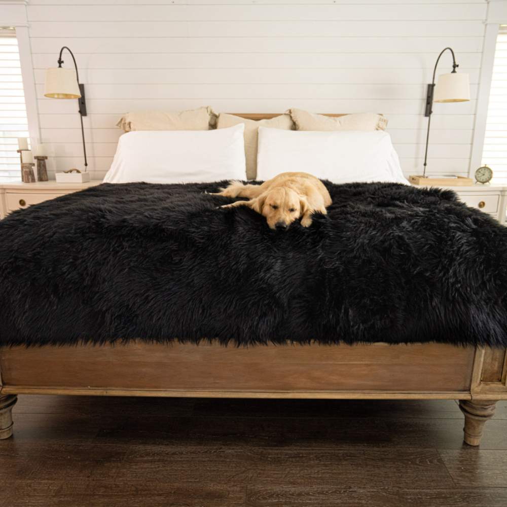 A Golden Retriever is stretched out on a bed adorned with a Paw PupProtector™ Waterproof Throw Blanket - Midnight Black Dog Bed Blankets