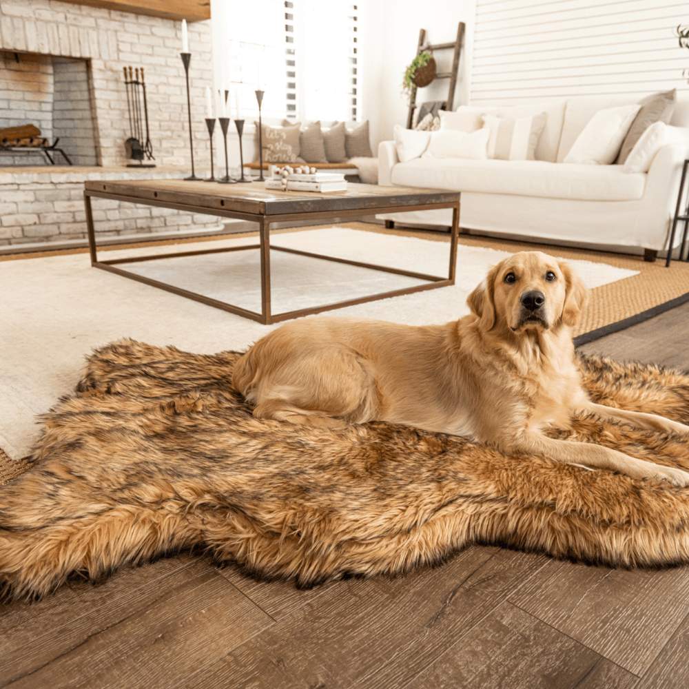 A Golden Retriever lounging on a Curve Sable Tan Paw PupRug Faux Fur Orthopedic Dog Bed in a cozy living room setting