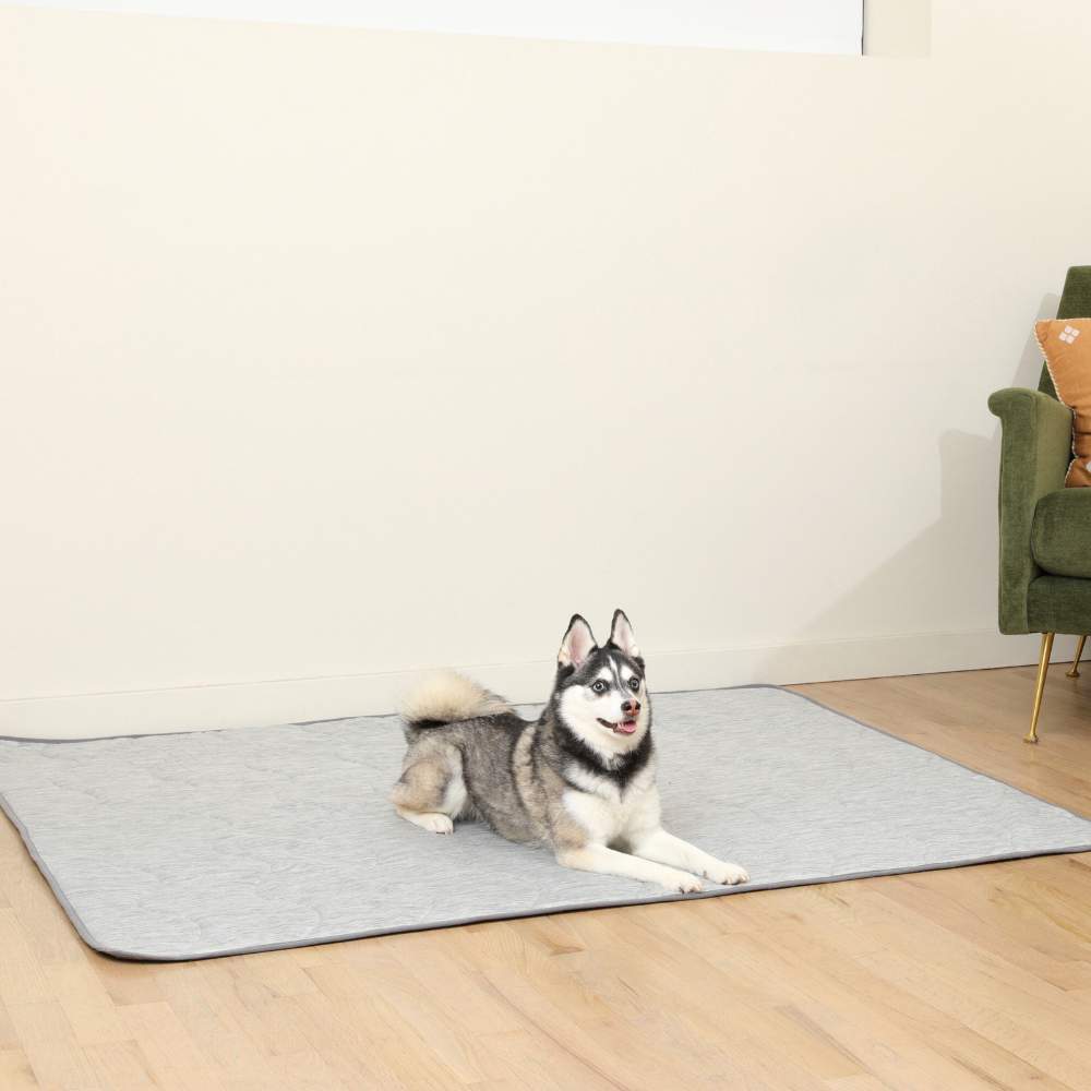 A Husky is lying on the floor covered with the Paw PupChill™ Cooling Waterproof Blanket - Arctic Grey Dog Mat