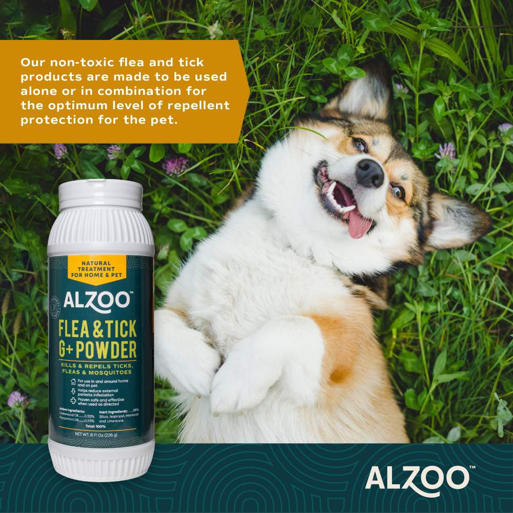 ALZOO Plant-Based Flea & Tick G+ Powder for Environment placed next to a happy dog lying in the grass