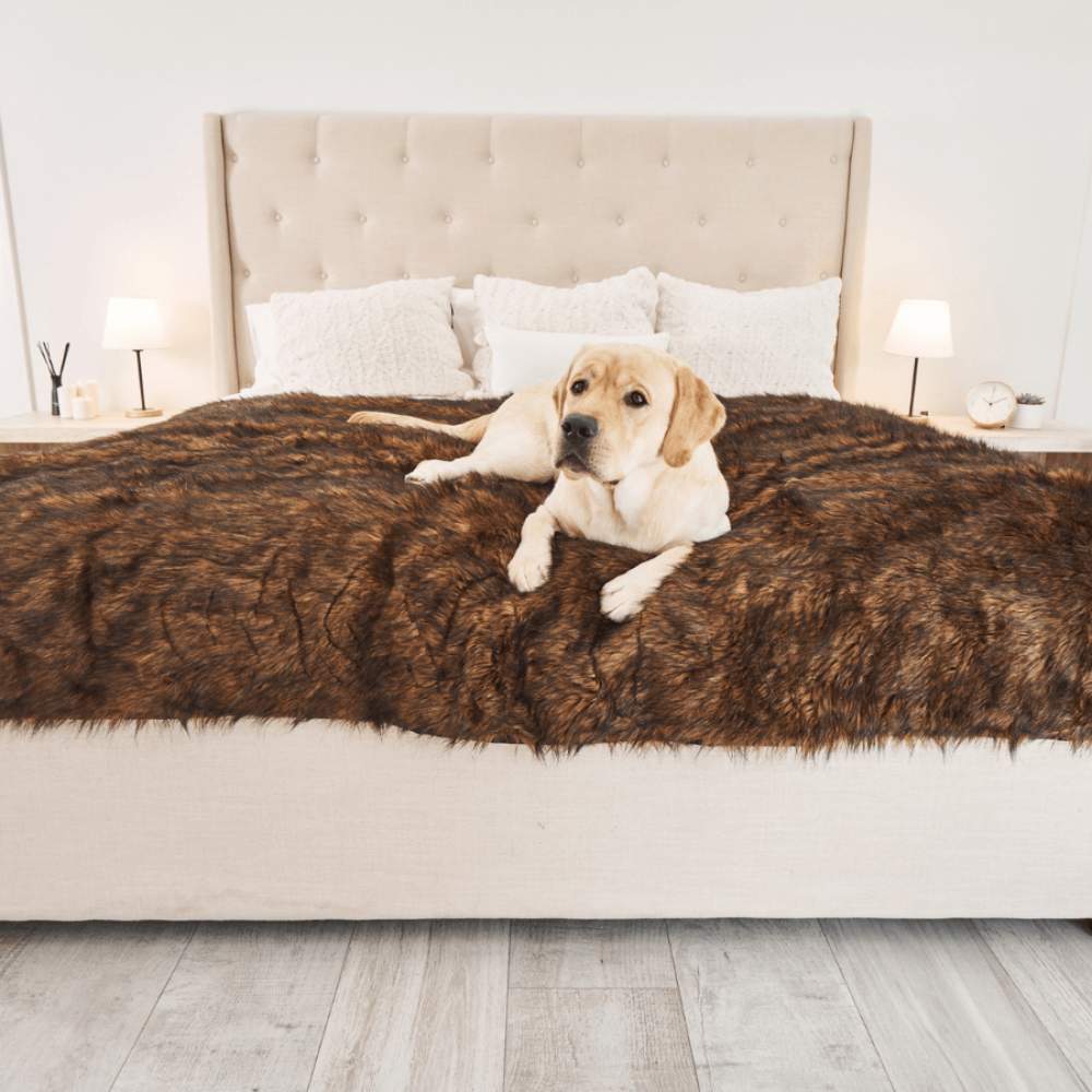 A Labrador Retriever is lying on a bed covered with a Paw PupProtector™ Waterproof Throw Blanket - Brown Cute Dog Blankets