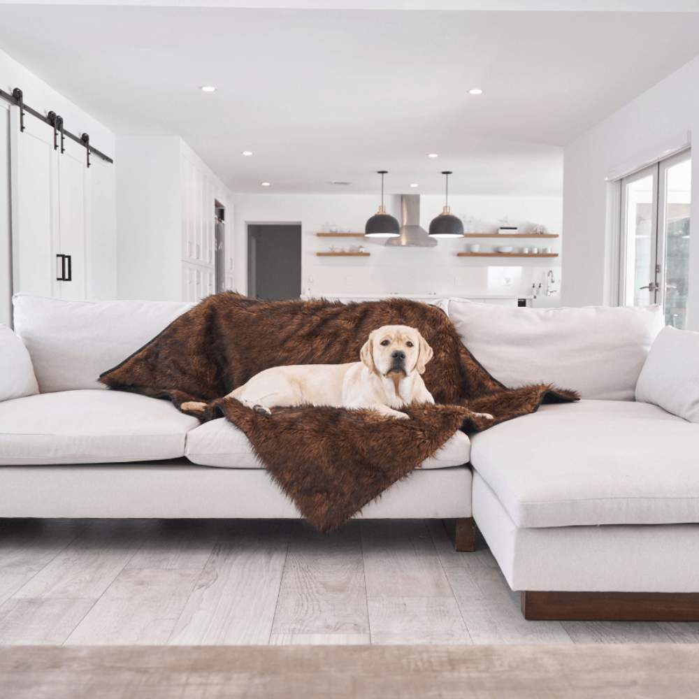 A Labrador Retriever is lying on a light grey sofa featuring a Paw PupProtector™ Waterproof Throw Blanket - Brown Cute Dog Blankets