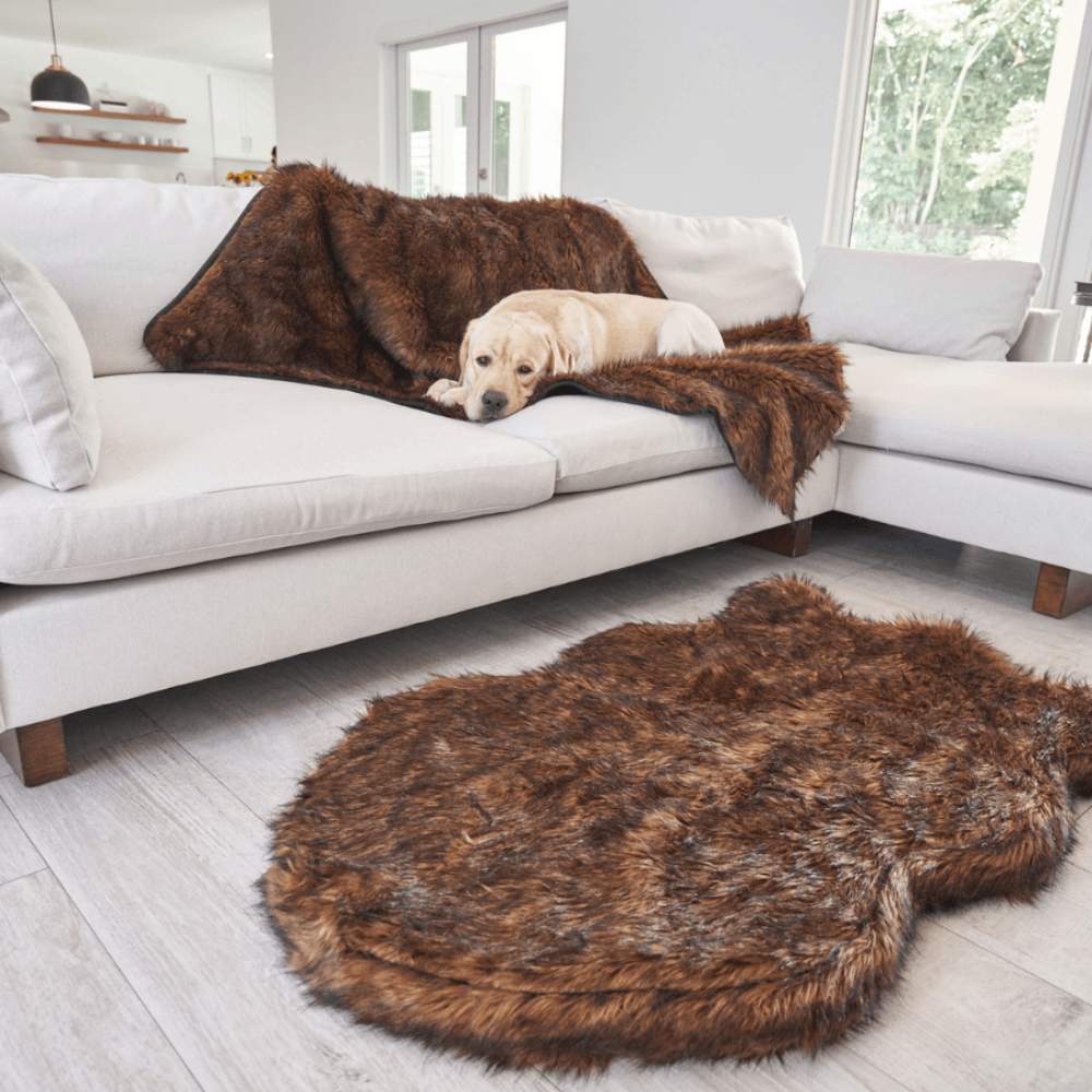 A Labrador Retriever is relaxing on a light grey sofa, and a matching rug is placed on the floor, both utilizing a Paw PupProtector™ Waterproof Throw Blanket - Brown