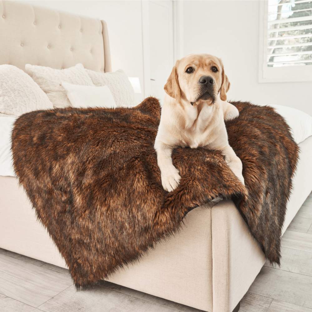 A Labrador Retriever is resting on a bed adorned with a Paw PupProtector™ Waterproof Throw Blanket - Brown Dog Warming Blanket