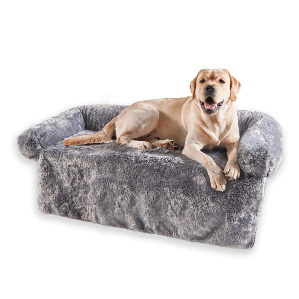 A Labrador is sitting on the elevated version of the Paw PupProtector™ Waterproof Couch Lounger - Charcoal Grey