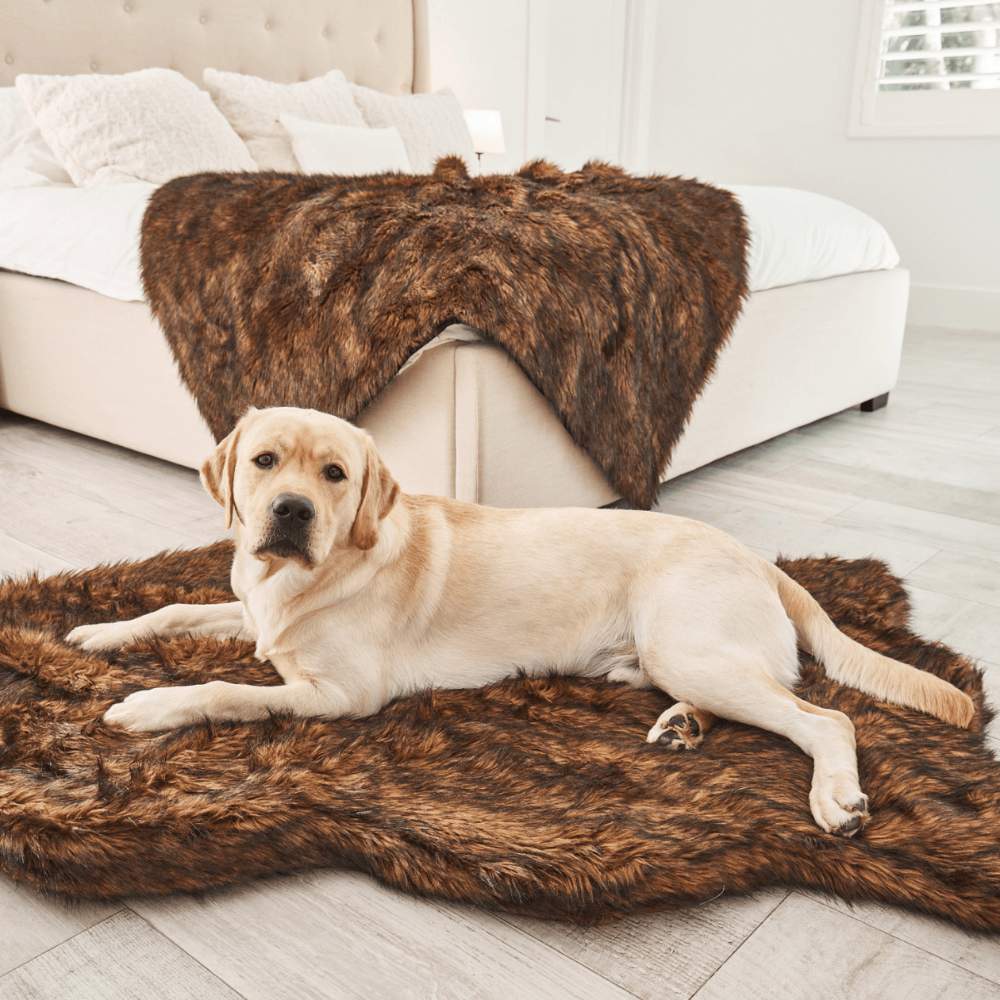 A Labrador retriever is lying on the Curve Brown Paw PupRug Faux Fur Orthopedic Dog Bed in a bedroom, matching the brown fur blanket on the bed