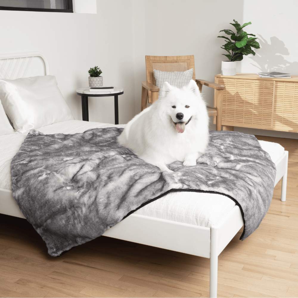 A Samoyed is lounging on a bed covered with the Paw PupProtector™ Waterproof Throw Blanket - Ultra Soft Chinchilla
