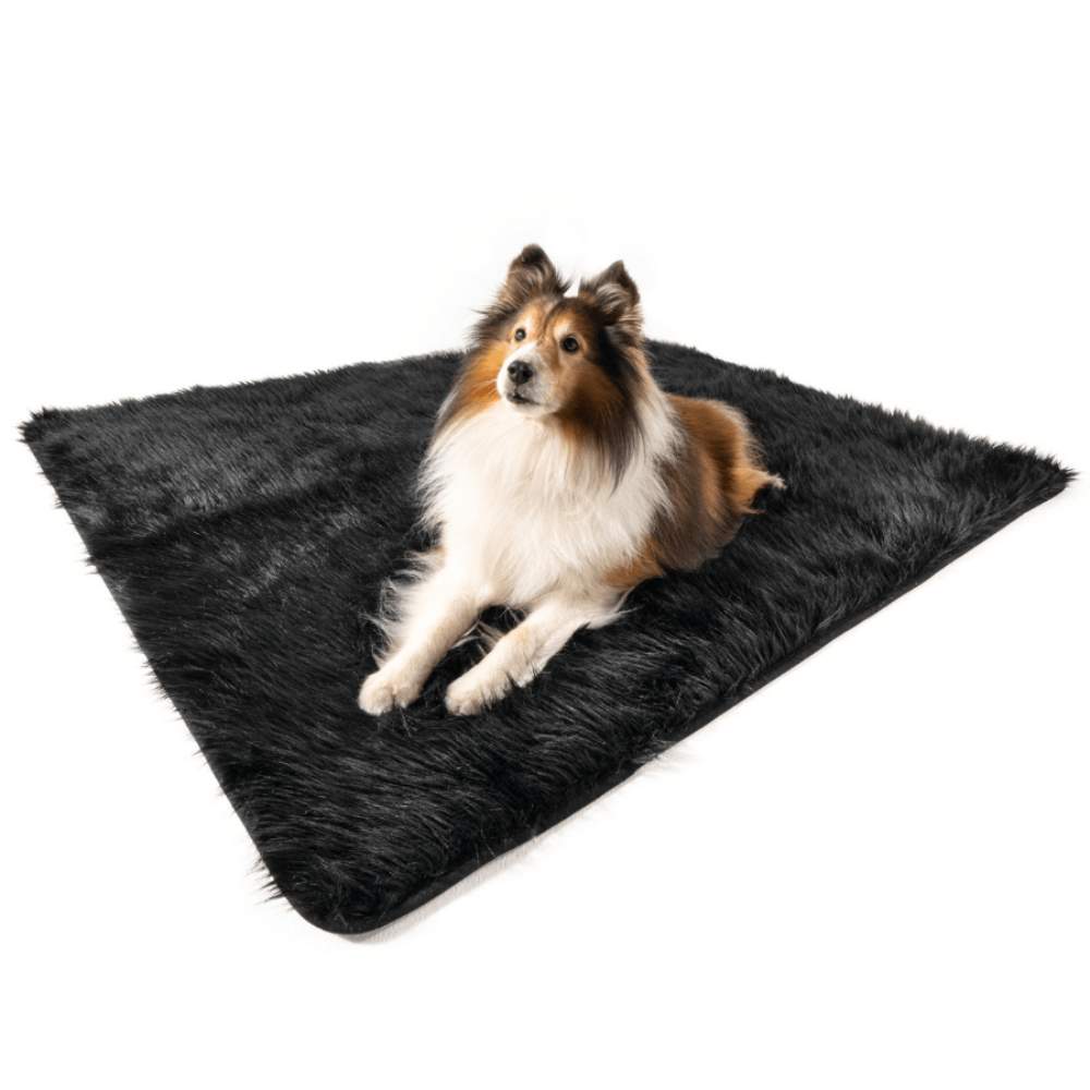 A Shetland Sheepdog is lying on the floor with a Paw PupProtector™ Waterproof Throw Blanket - Midnight Black