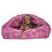 A brown dog resting inside Bowsers Canopy Cozy Dog Bed in Cherry Blossom pink
