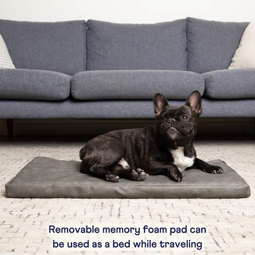 A black French Bulldog is lying on a removable memory foam pad from the Paw PupProtector™ Faux Leather Memory Foam Dog Car Bed - Slate Gray, used as a bed while traveling