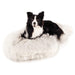 A black and white dog is comfortably lying on the Curve Polar White Paw PupRug Faux Fur Orthopedic Dog Bed against a plain white background