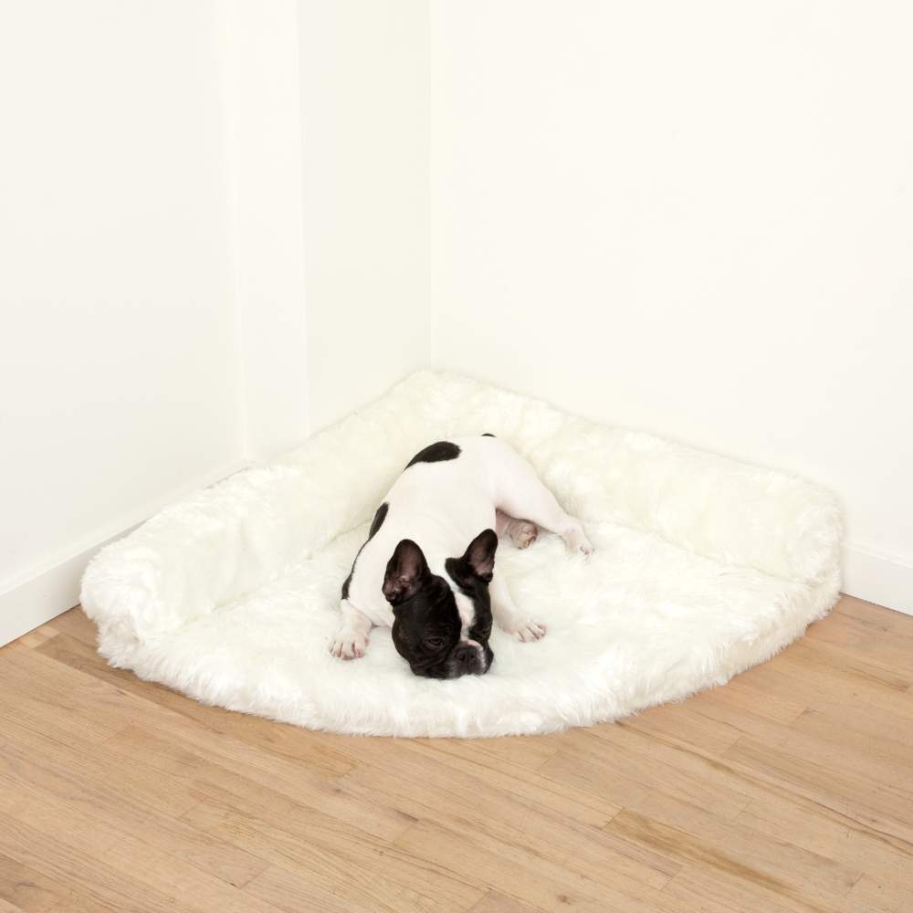 A black and white dog is comfortably lying on the Polar White Paw PupRug™ Memory Foam Corner Dog Bed in a corner