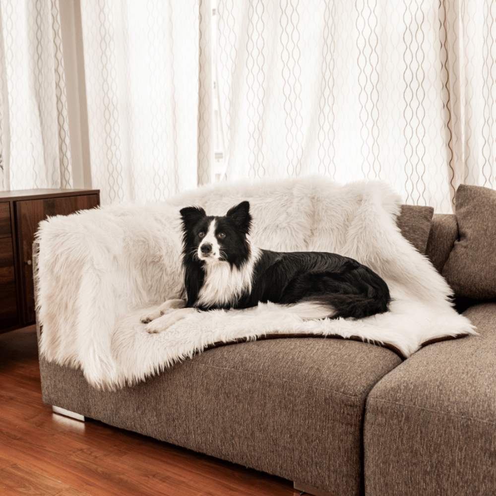 A black and white dog is comfortably resting on a couch draped with the Paw PupProtector™ Waterproof Throw Blanket - Polar White Dog Bed Blanket