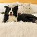 A black and white dog is happily resting on a bed adorned with the Paw PupProtector™ Waterproof Throw Blanket - Polar White Faux Fur Pet Blanket