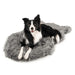 A black and white dog is lying comfortably on the Curve Charcoal Grey Paw PupRug Faux Fur Orthopedic Dog Bed