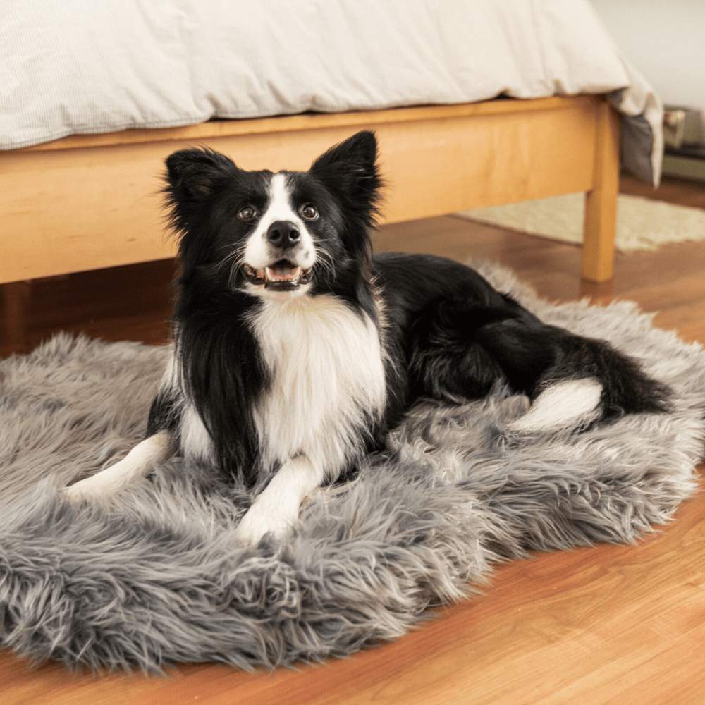 A black and white dog is lying on the Curve Charcoal Grey Paw PupRug Faux Fur Orthopedic Dog Bed in a bedroom, showcasing its luxurious design