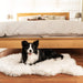 A black and white dog is lying on the Curve Polar White Paw PupRug Faux Fur Orthopedic Dog Bed placed in a bedroom with a wooden floor