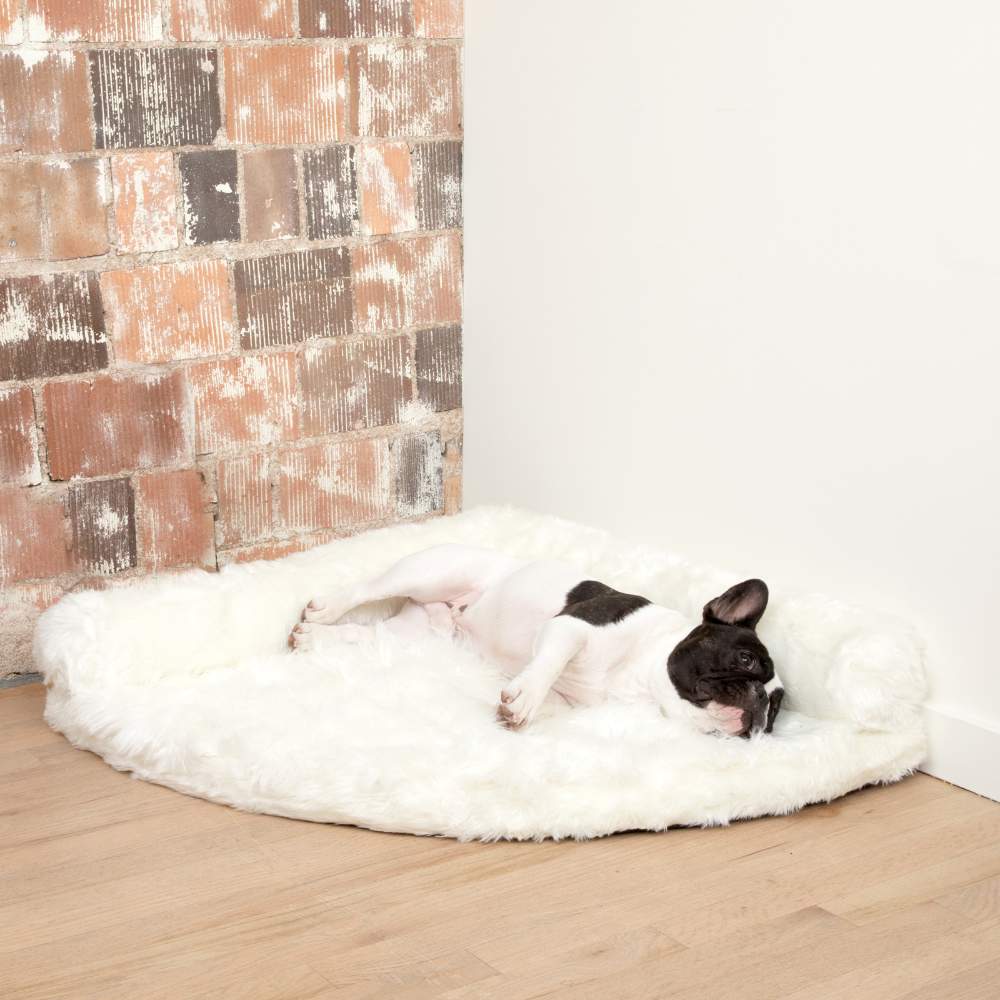A black and white dog is lying on the Polar White Paw PupRug™ Memory Foam Corner Dog Bed, placed against a rustic brick wall