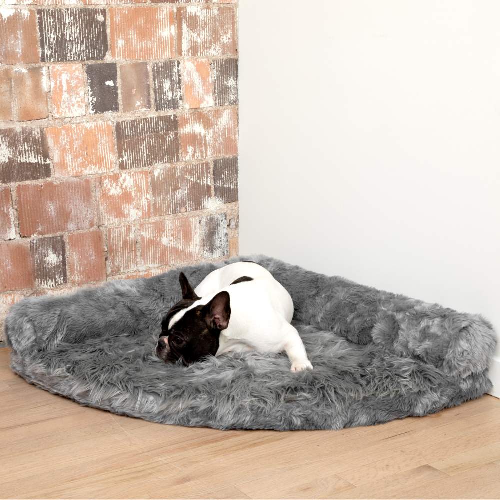 A black and white dog is resting on the Charcoal Grey Paw PupRug™ Memory Foam Corner Dog Bed against a rustic brick wall