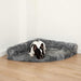 A black and white dog is sleeping on the Charcoal Grey Paw PupRug™ Memory Foam Corner Dog Bed in a corner of the room