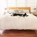 A black and white dog is sprawled across a bed featuring the Paw PupProtector™ Waterproof Throw Blanket - Polar White Blanket Dog Bed