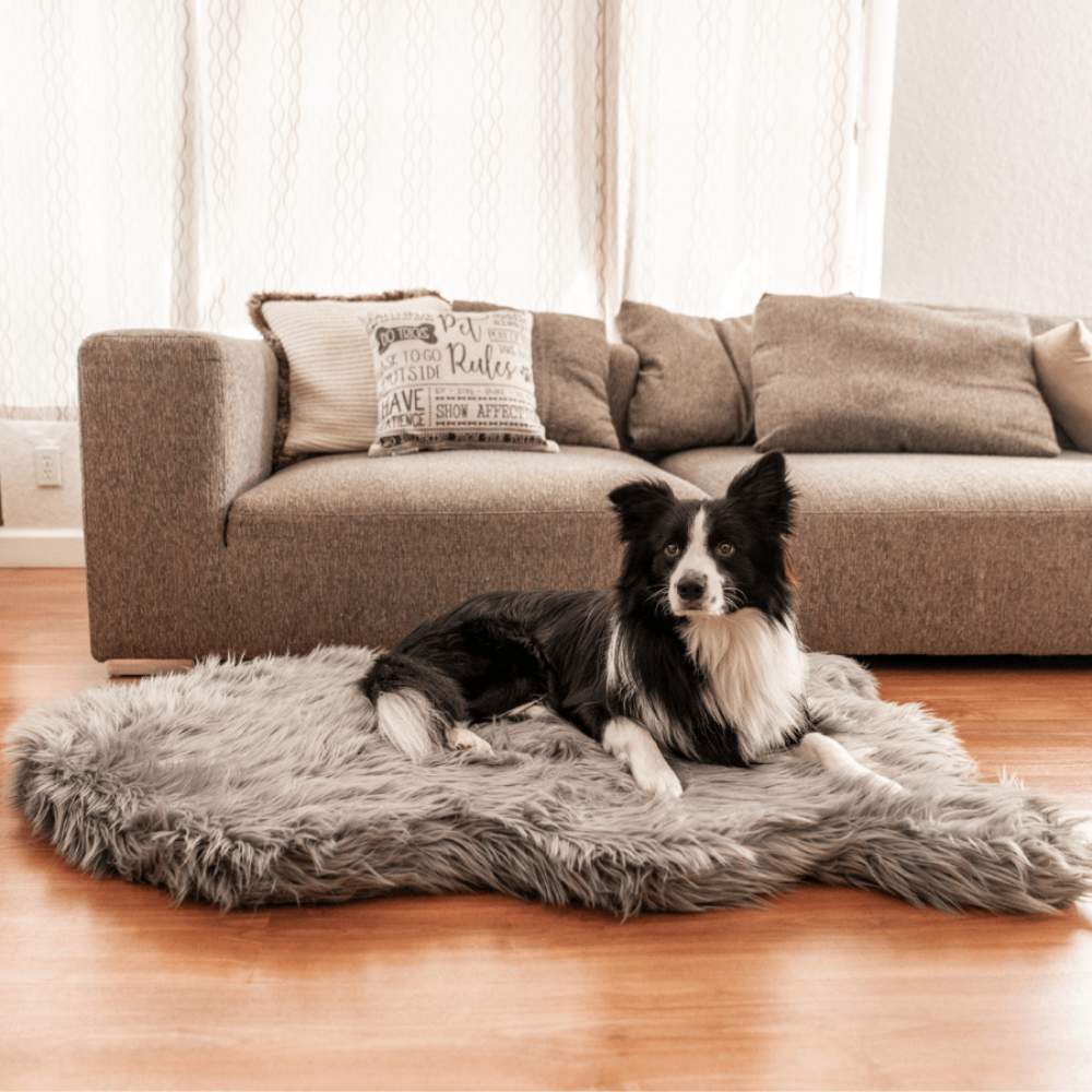 A black and white dog relaxes on the Curve Charcoal Grey Paw PupRug Faux Fur Orthopedic Dog Bed placed in a cozy living room setting