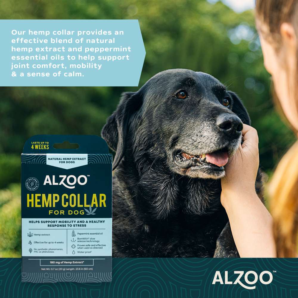 A black dog being petted while wearing the ALZOO Plant-Based Hemp Premium Collar for Dogs