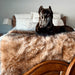 A black dog is resting on a bed adorned with a Paw PupProtector™ Waterproof Throw Blanket - Sable Tan Blanket Dog