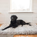 A black dog lying down on a Rectangle Light Grey Paw PupRug Faux Fur Orthopedic Dog Bed in a bright room