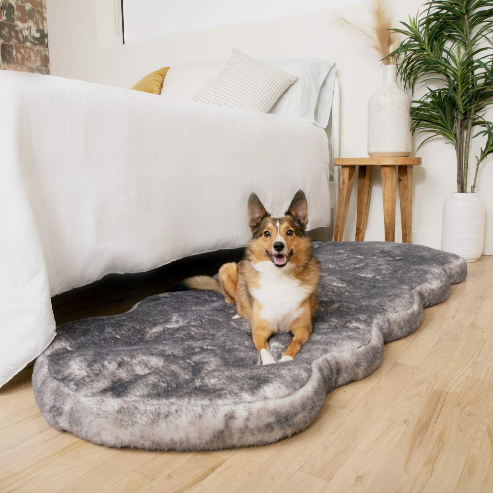 A brown and white dog comfortably sitting on a Paw PupRug™ Runner Faux Fur Memory Foam Dog Bed Ultra Soft Chinchilla positioned next to a white bed and wooden stool