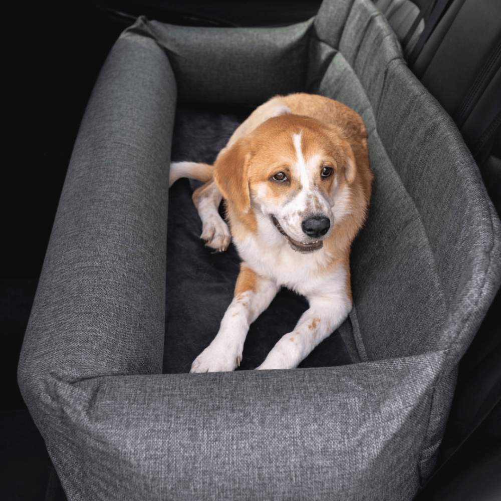 A brown and white dog is laying down in the back seat of a car on a Paw PupProtector™ Memory Foam Dog Car Bed - Full Back Car Seat