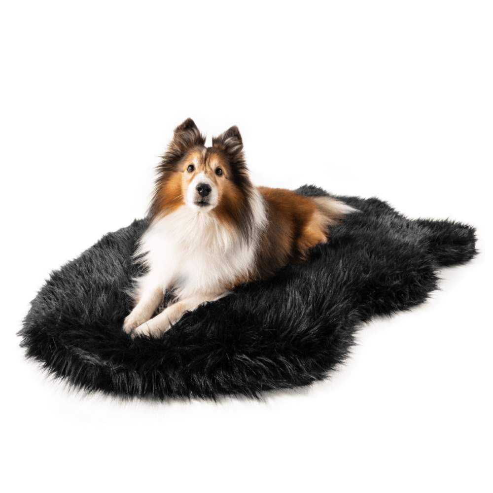 A brown and white dog is lying on the Curve Midnight Black Paw PupRug Faux Fur Orthopedic Dog Bed against a plain white background