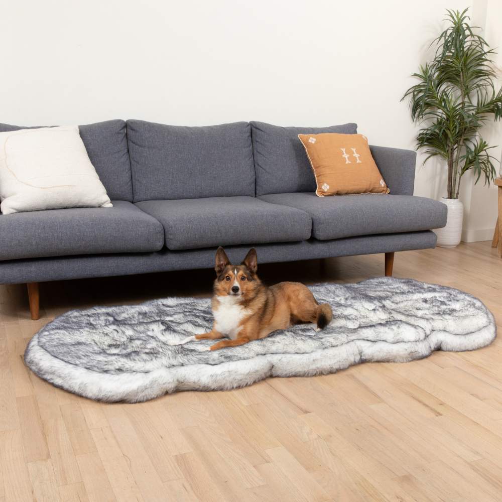 A brown and white dog lounging on a Paw PupRug™ Runner Faux Fur Memory Foam Dog Bed Ultra Plush Arctic Fox in front of a modern grey couch with decorative pillows