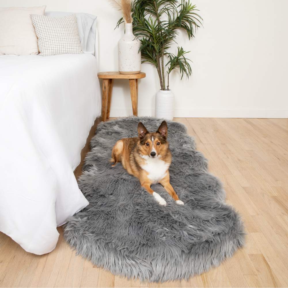 A brown and white dog lying on a Paw PupRug™ Runner Faux Fur Memory Foam Dog Bed Charcoal Grey beside a bed with white bedding and modern decor