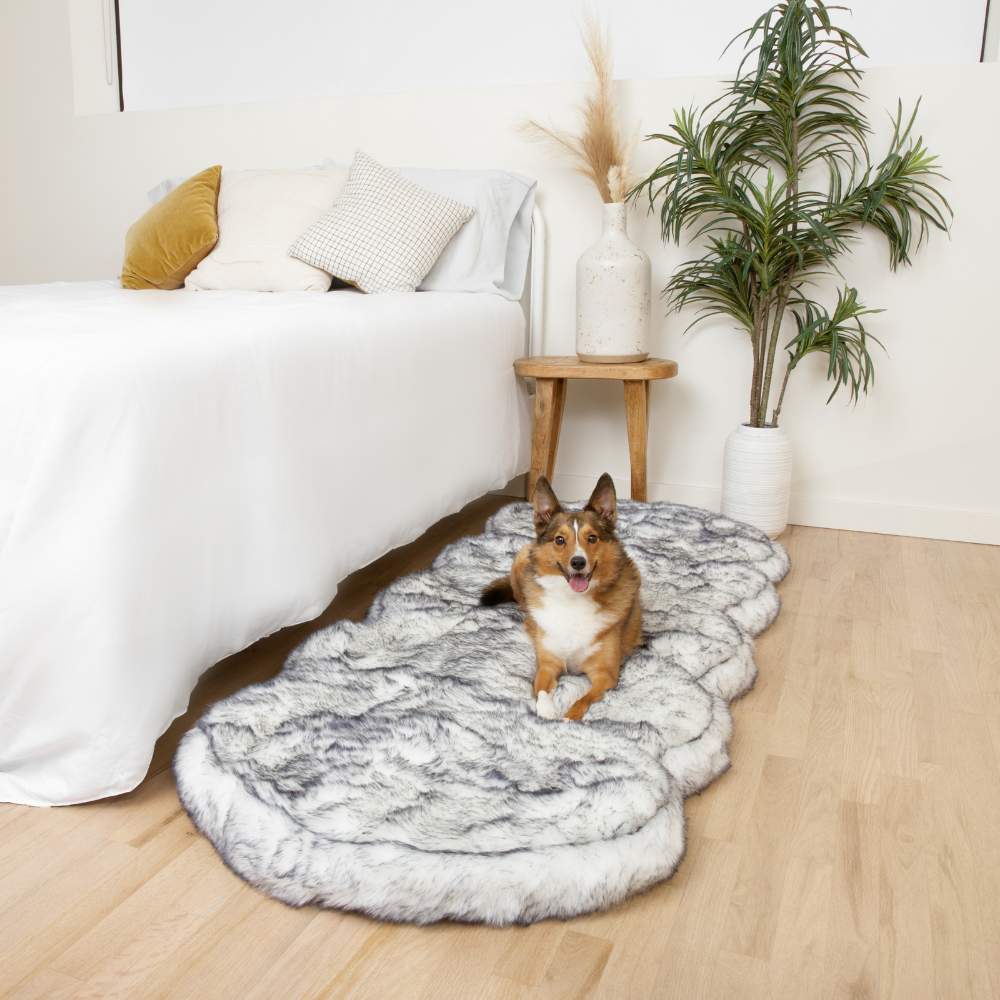 A brown and white dog lying on a Paw PupRug™ Runner Faux Fur Memory Foam Dog Bed Ultra Plush Arctic Fox beside a bed with white bedding and modern decor