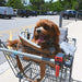 A brown dog sitting in a shopping cart, secured in the Paw PupTote™ 3-in-1 Faux Leather Dog Carrier Bag - Camel in a parking lot