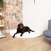 A chocolate Labrador is lounging on the Polar White Paw PupRug™ Memory Foam Corner Dog Bed against a rustic brick wall, next to a bookshelf and a blue couch