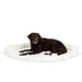 A chocolate Labrador is lying on the Polar White Paw PupRug™ Memory Foam Corner Dog Bed against a white background