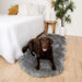 A chocolate labrador comfortably stretched out on a Paw PupRug™ Runner Faux Fur Memory Foam Dog Bed Charcoal Grey next to a stylishly decorated bed