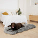A chocolate labrador lying on a Paw PupRug™ Runner Faux Fur Memory Foam Dog Bed Charcoal Grey at the foot of a bed in a bright, modern bedroom