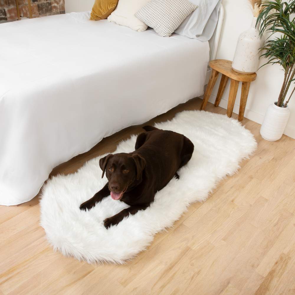 A chocolate labrador relaxing on a Paw PupRug™ Runner Faux Fur Memory Foam Dog Bed Curve Polar White beside a bed with white bedding and wooden furniture