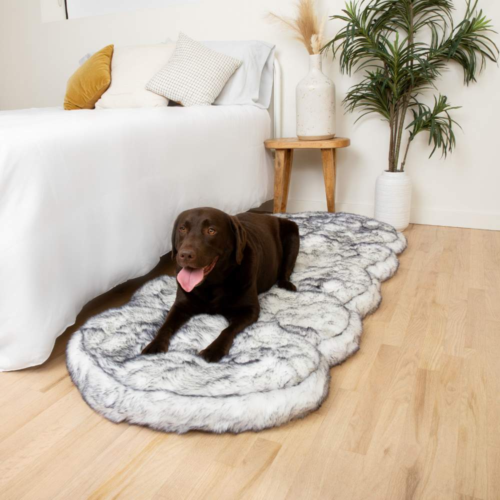 A chocolate labrador relaxing on a Paw PupRug™ Runner Faux Fur Memory Foam Dog Bed Ultra Plush Arctic Fox placed next to a white bed with decorative pillows