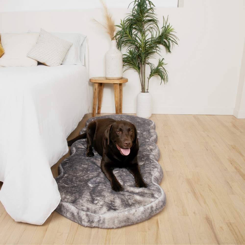 A chocolate labrador relaxing on a Paw PupRug™ Runner Faux Fur Memory Foam Dog Bed Ultra Soft Chinchilla placed beside a neatly made bed