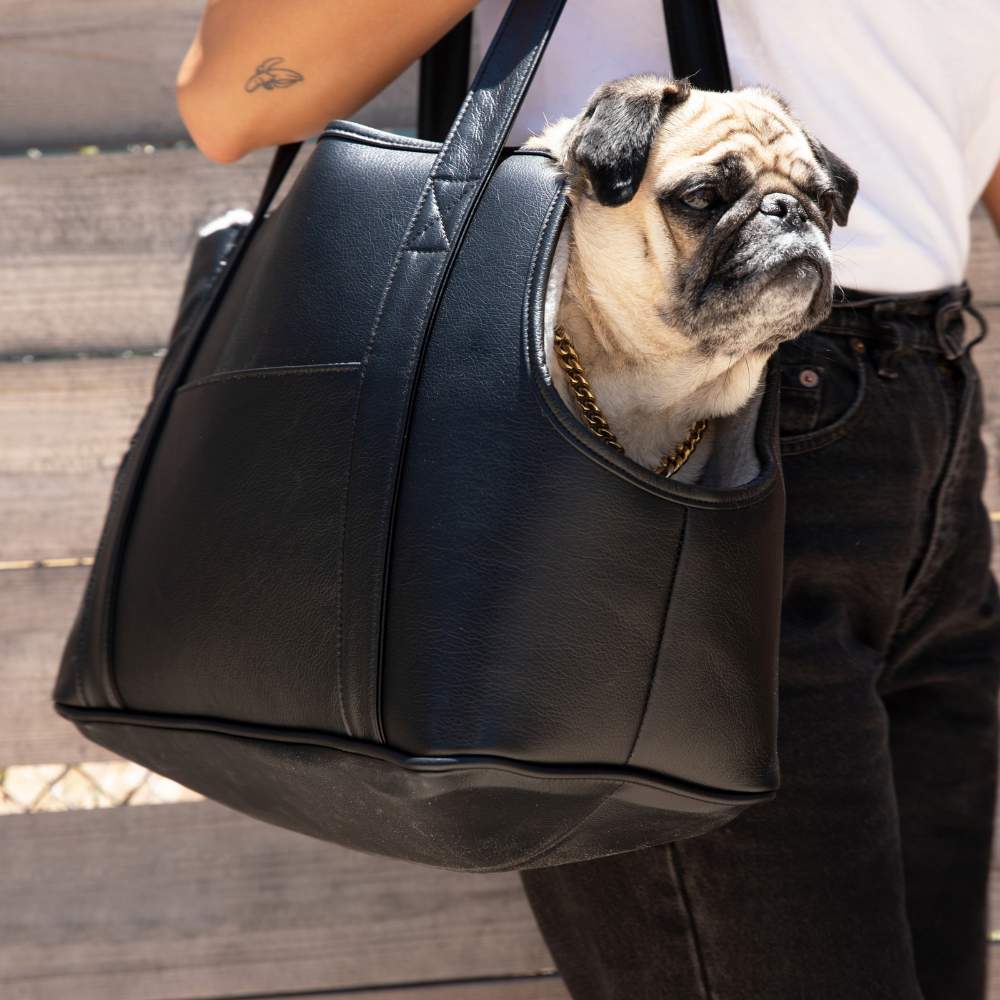 A close-up of a pug being carried outdoors in the Paw PupTote™ 3-in-1 Faux Leather Dog Carrier Bag - Black by a woman