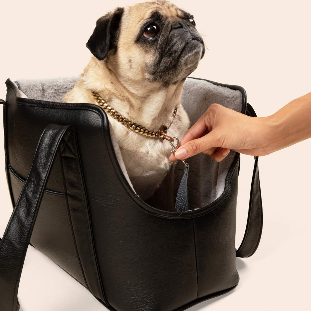 A close-up of a pug inside the Paw PupTote™ 3-in-1 Faux Leather Dog Carrier Bag - Black with a hand attaching a leash to its collar