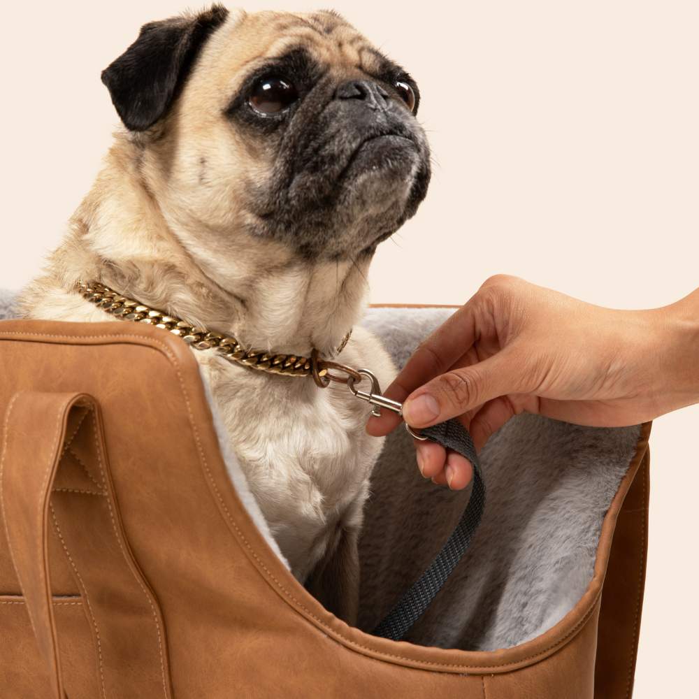 A close-up of a pug inside the Paw PupTote™ 3-in-1 Faux Leather Dog Carrier Bag - Camel while a hand is attaching a leash to the dog's collar