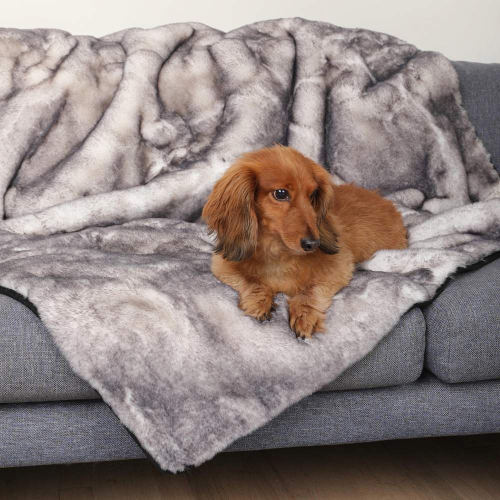 A dachshund is comfortably lying on a couch covered with the Paw PupProtector™ Waterproof Throw Blanket - Ultra Soft Chinchilla