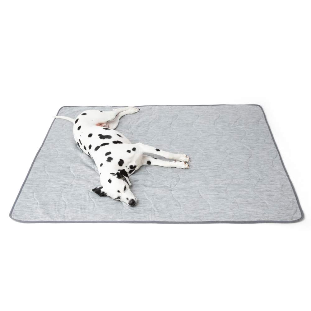 A dalmatian is lying on the floor covered with the Paw PupChill™ Cooling Waterproof Blanket - Arctic Grey